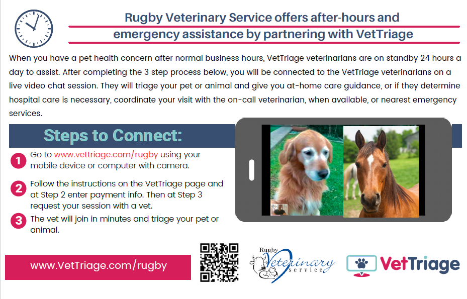 VetTriage