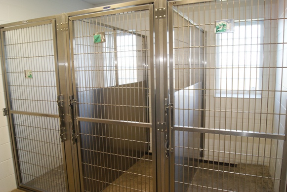 Kennels