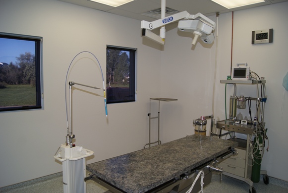 Dental Suite