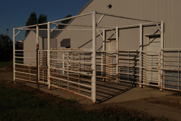 Large Animal Pen