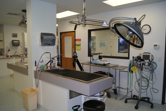 Surgical Suite